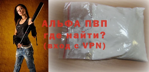 дживик Анжеро-Судженск