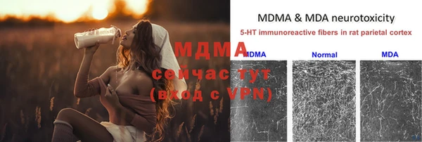 индика Нефтегорск