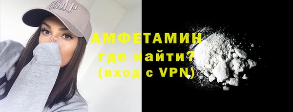 дживик Анжеро-Судженск