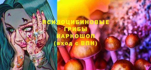 дживик Анжеро-Судженск