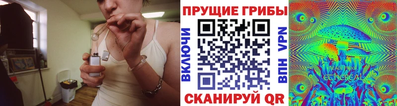 Псилоцибиновые грибы ЛСД  цена наркотик  Курганинск 