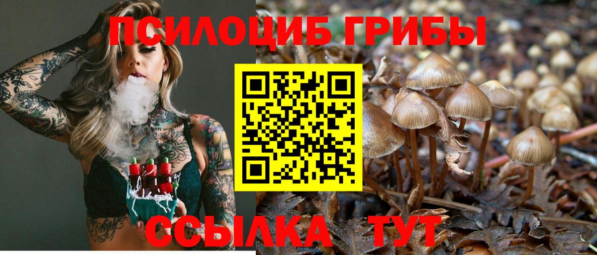 Курганинск  Галлюциногенные грибы Magic Shrooms  Вход с VPN 