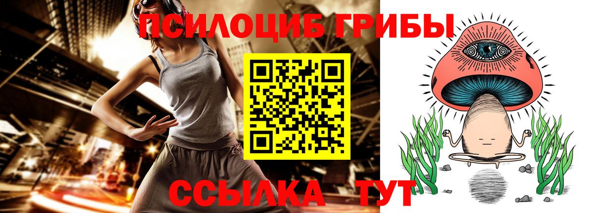 Псилоцибиновые грибы Magic Shrooms Курганинск